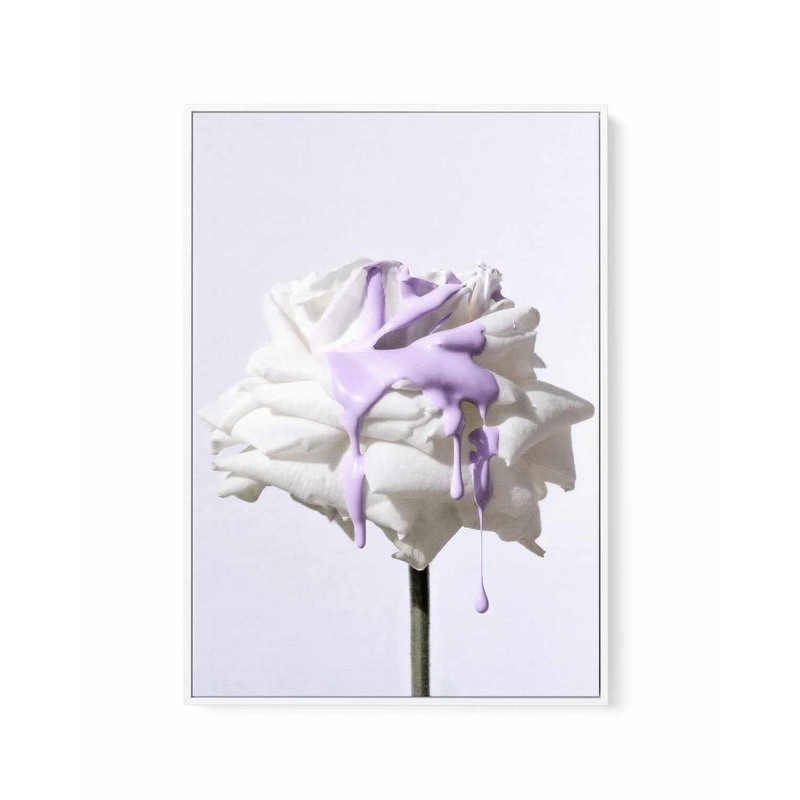 Wild Rose in Lilac III PT | Framed Canvas Art Print
