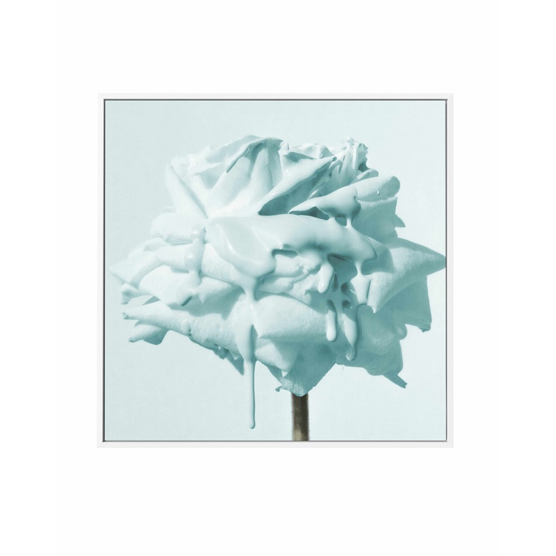 Wild Teal Rose | Framed Canvas Art Print