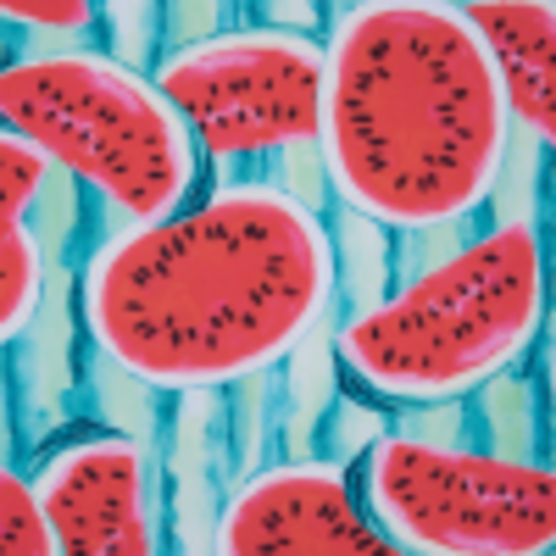 Watermelon Printed Caye UV Protective Compression Swimwear Tricot w/ Aloe Vera Microcapsules